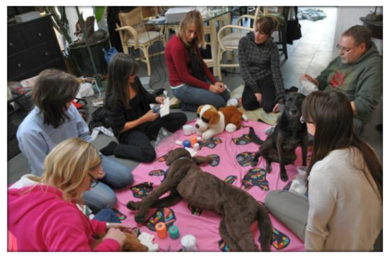 Gesunde Schleimhaut beim Hund